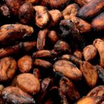 Ceny kakao na światowych giełdach szybko się nie zatrzymają