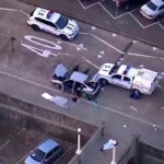 Strzelanina na plaży w Sydney. Izrael reaguje. „Wiele strzałów”