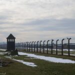 Niemiecki rząd zapomniał o Polakach wymordowanych w Auschwitz. Muzeum reaguje