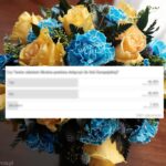 Wojna w tle, UE na horyzoncie. Czy Ukraina powinna dołączyć do Unii Europejskiej?