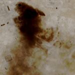 Cieśnina Ormuz nadal zablokowana. Ropa znów drożeje, a Saudyjczycy liczą straty